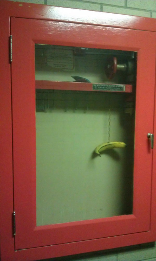 Banana fire extinguisher